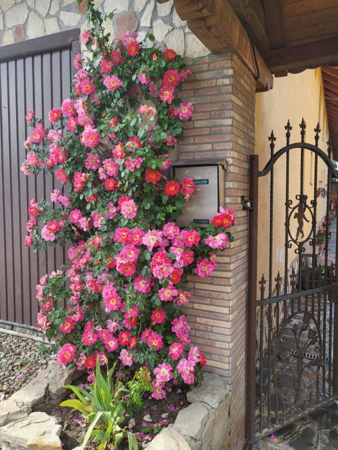 Apartamento Casa Maria Cincu Exterior foto
