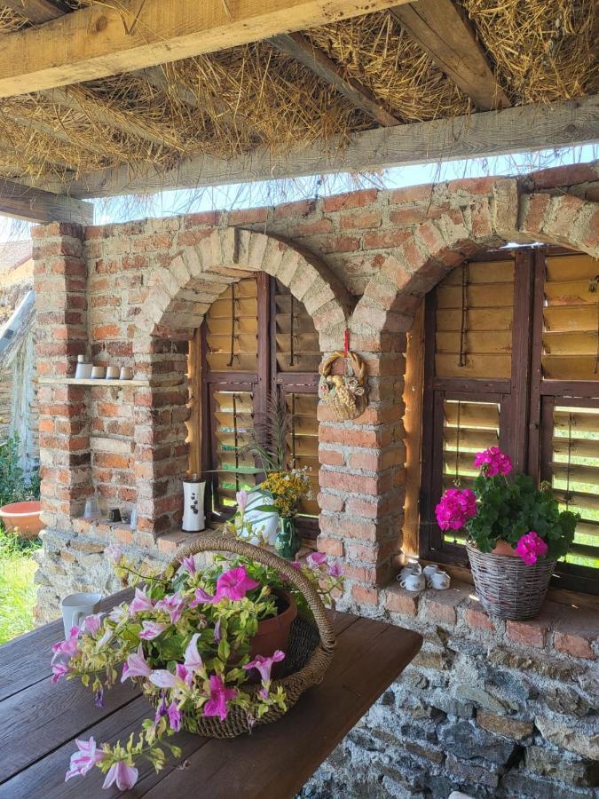 Apartamento Casa Maria Cincu Exterior foto