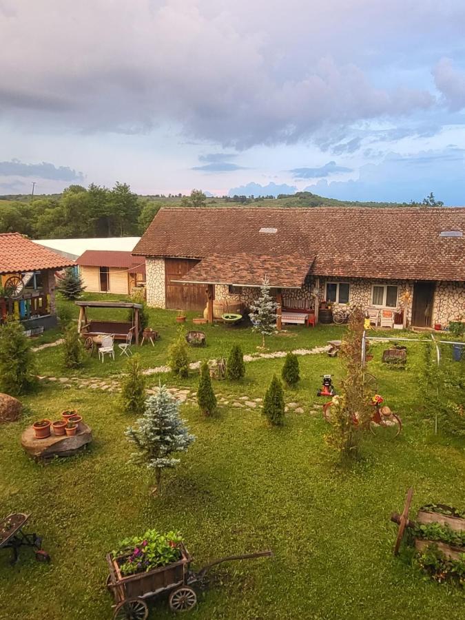 Apartamento Casa Maria Cincu Exterior foto